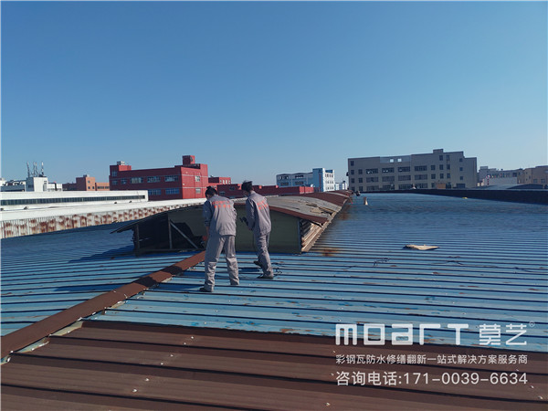 祝贺黄瓜视频APP在线观看建材与温州东风化工机械有限公司达成合作