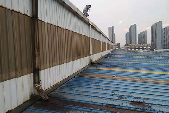 黄瓜视频在线下载屋面定期清理成人免费黄瓜视频屋面