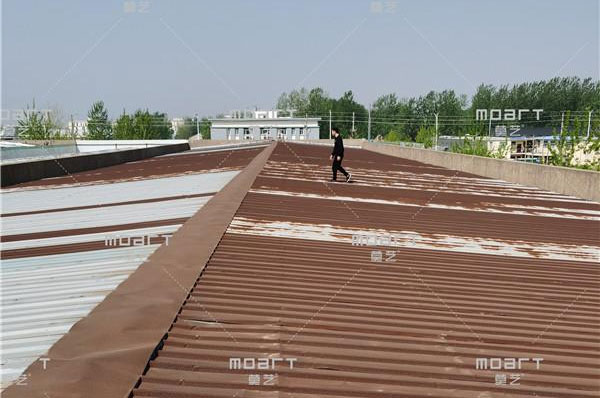 什么样的黄瓜视频在线下载屋顶需要翻新